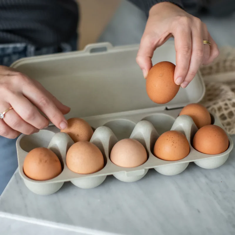 KOZIOL Eggs To Go - wytłaczanka / pojemnik na jajka do lodówki plastikowy Okazja